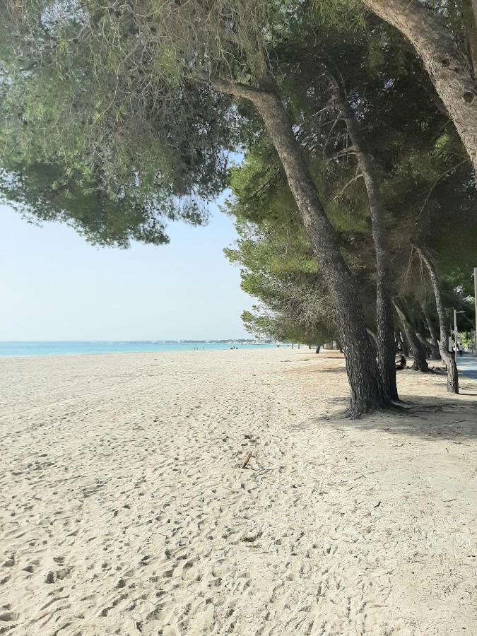 Beach Apartment Minerva Port de Alcudia  Kültér fotó