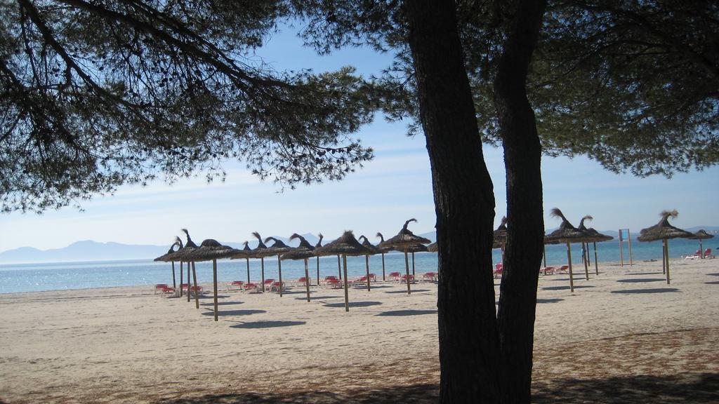 Beach Apartment Minerva Port de Alcudia  Szoba fotó